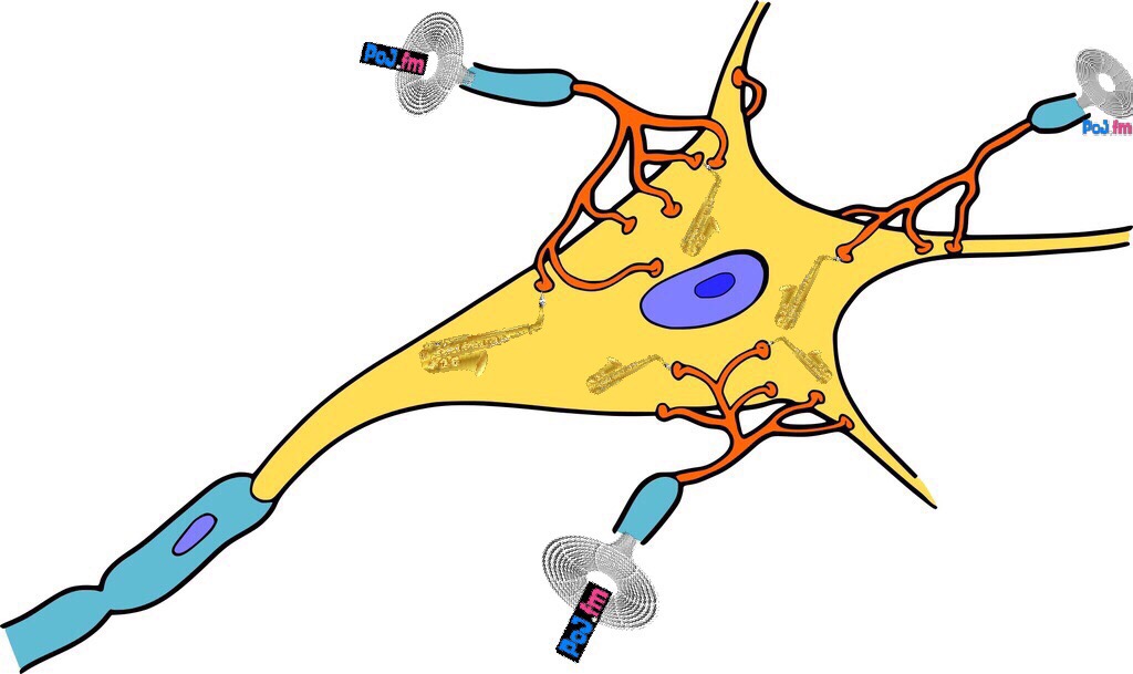 Neuron logo sax.jpeg