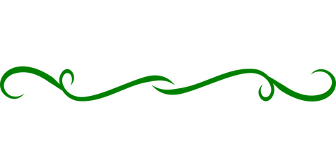 A relatively plain and streamlined green ivy line separator.