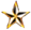 A small gold, black, and white star used as a bullet point.